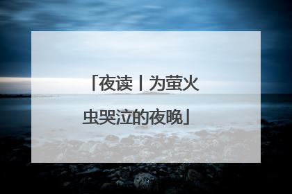 夜读丨为萤火虫哭泣的夜晚