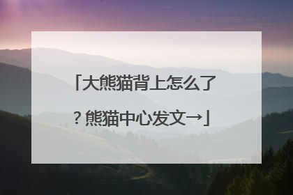 大熊猫背上怎么了？熊猫中心发文→