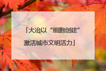 大冶以“细胞创建”激活城市文明活力