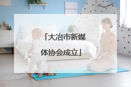大冶市新媒体协会成立