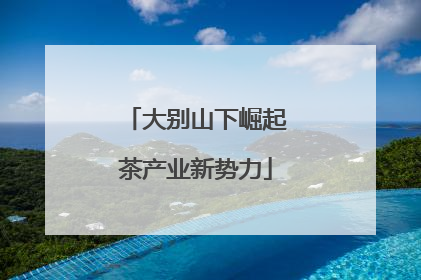 大别山下崛起茶产业新势力