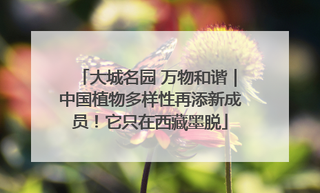 大城名园 万物和谐｜中国植物多样性再添新成员！它只在西藏墨脱