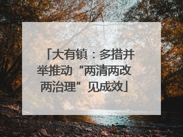 大有镇：多措并举推动“两清两改两治理”见成效