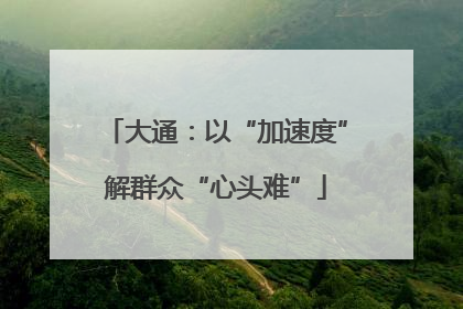 大通：以“加速度”解群众“心头难”