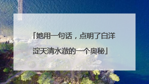 她用一句话，点明了白洋淀天清水澈的一个奥秘