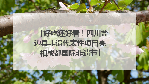 好吃还好看！四川盐边县非遗代表性项目亮相成都国际非遗节