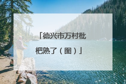 德兴市万村枇杷熟了（图）