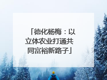 德化杨梅：以立体农业打通共同富裕新路子