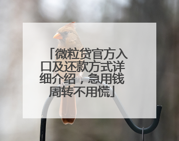 微粒贷官方入口及还款方式详细介绍，急用钱周转不用慌