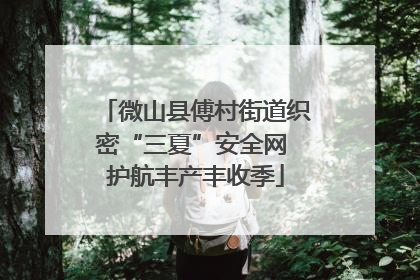 微山县傅村街道织密“三夏”安全网 护航丰产丰收季