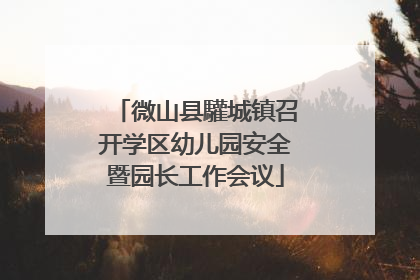 微山县驩城镇召开学区幼儿园安全暨园长工作会议