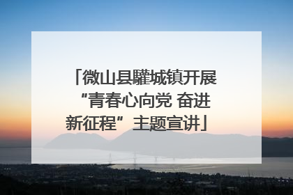 微山县驩城镇开展“青春心向党 奋进新征程”主题宣讲