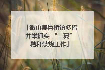 微山县鲁桥镇多措并举抓实 “三夏” 秸秆禁烧工作