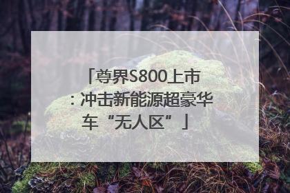 尊界S800上市：冲击新能源超豪华车“无人区”