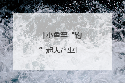 小鱼竿“钓”起大产业