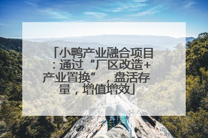 小鸭产业融合项目：通过“厂区改造+产业置换”，盘活存量，增值增效