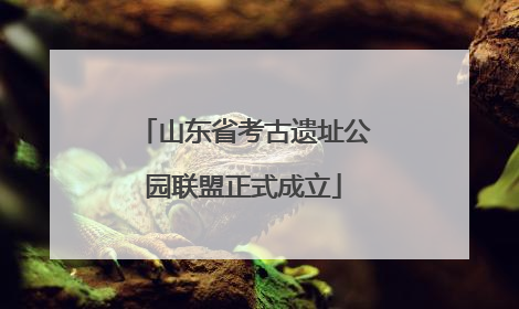 山东省考古遗址公园联盟正式成立