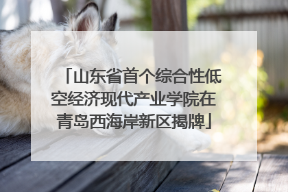 山东省首个综合性低空经济现代产业学院在青岛西海岸新区揭牌