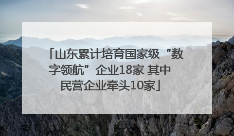 山东累计培育国家级“数字领航”企业18家 其中民营企业牵头10家