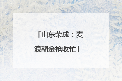 山东荣成：麦浪翻金抢收忙