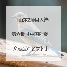 山东2项目入选第六批《中国档案文献遗产名录》