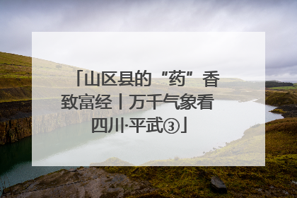 山区县的“药”香致富经丨万千气象看四川·平武③