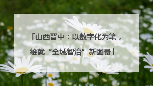 山西晋中：以数字化为笔，绘就“全域智治”新图景