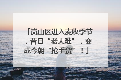 岚山区进入麦收季节，昔日“老大难”，变成今朝“抢手货”！