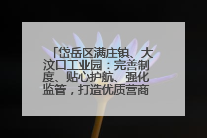 岱岳区满庄镇、大汶口工业园：完善制度、贴心护航、强化监管，打造优质营商“强磁场”