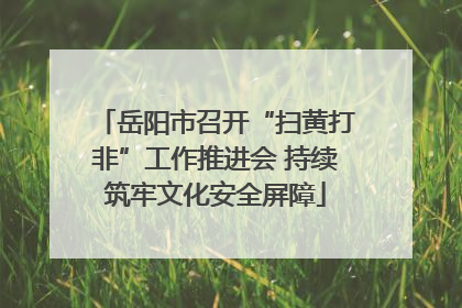 岳阳市召开“扫黄打非”工作推进会 持续筑牢文化安全屏障