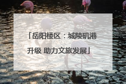 岳阳楼区：城陵矶港升级 助力文旅发展