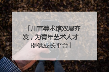 川音美术馆双展齐发，为青年艺术人才提供成长平台