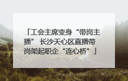 工会主席变身“带岗主播” 长沙天心区直播带岗架起职企“连心桥”