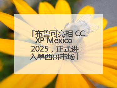 布鲁可亮相 CCXP México 2025，正式进入墨西哥市场