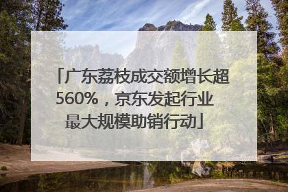广东荔枝成交额增长超560%，京东发起行业最大规模助销行动