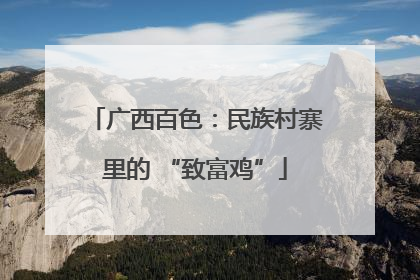 广西百色：民族村寨里的 “致富鸡”