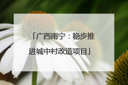 广西南宁：稳步推进城中村改造项目