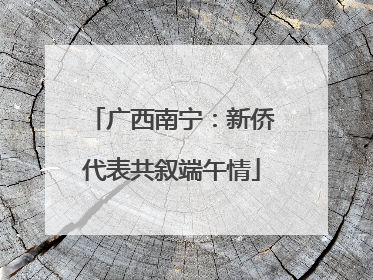 广西南宁：新侨代表共叙端午情