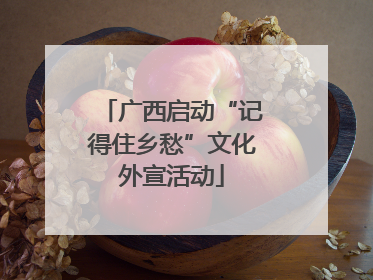 广西启动“记得住乡愁”文化外宣活动