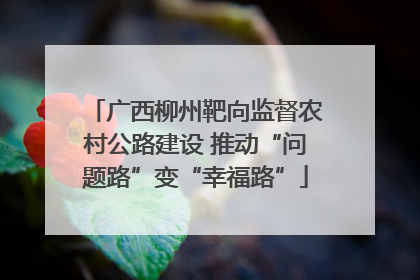 广西柳州靶向监督农村公路建设 推动“问题路”变“幸福路”