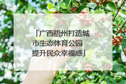 广西梧州打造城市生态体育公园 提升民众幸福感