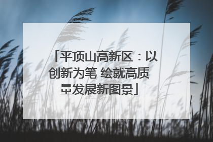 平顶山高新区：以创新为笔 绘就高质量发展新图景