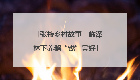 张掖乡村故事｜临泽林下养鹅“钱”景好