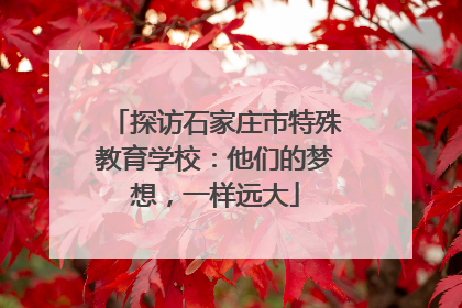 探访石家庄市特殊教育学校：他们的梦想，一样远大