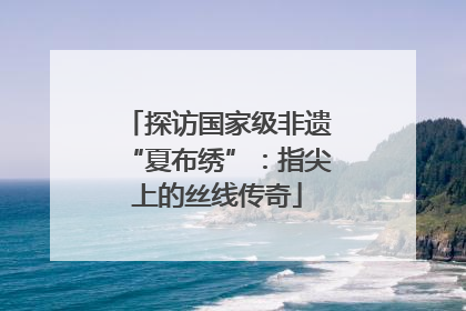 探访国家级非遗“夏布绣”：指尖上的丝线传奇