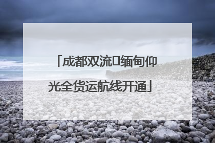 成都双流⇌缅甸仰光全货运航线开通