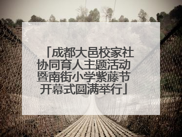 成都大邑校家社协同育人主题活动暨南街小学紫藤节开幕式圆满举行