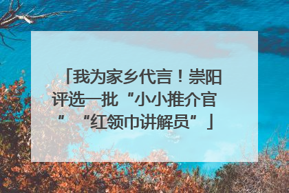 我为家乡代言！崇阳评选一批“小小推介官”“红领巾讲解员”