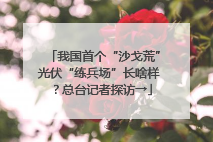 我国首个“沙戈荒”光伏“练兵场”长啥样？总台记者探访→