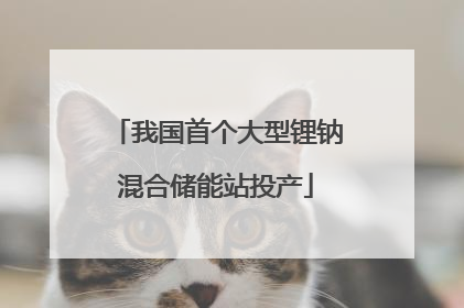 我国首个大型锂钠混合储能站投产